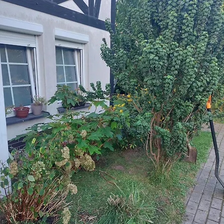 Appartement Nadmorskie Apartament Bursztynowy Ustka